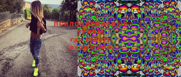 индика Абинск