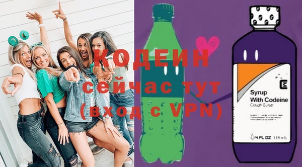 индика Абинск