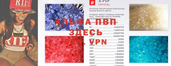 индика Абинск