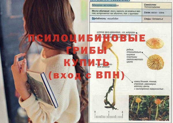 мескалин Алексин