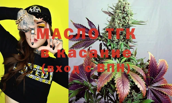 индика Абинск