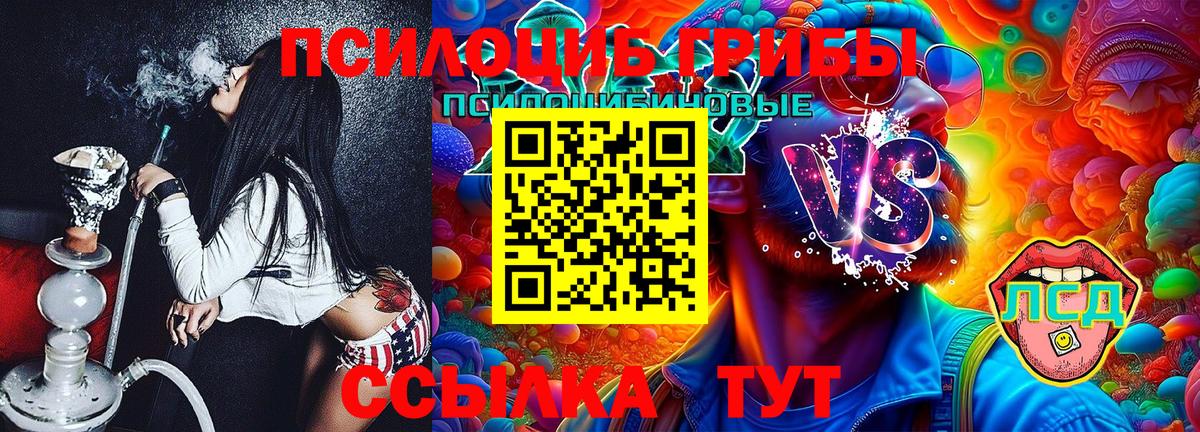 Тавда  Галлюциногенные грибы Cubensis  Вход с VPN 